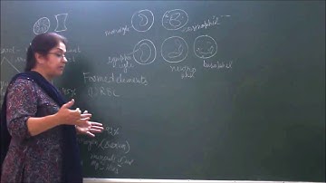 Bio-IX-2-08 Liquid connective tissue,   Pradeep Kshetrapal Physics channel