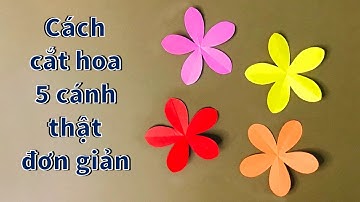 Cách cắt hoa 5 cánh thật đơn giản | Cách cắt hoa giấy đơn giản dễ nhất
