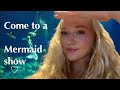 Mermaid show at “Den blå planet” national aquarium Denmark
