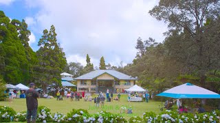 Experience Volcano Festival 2022