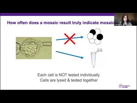 1000 mosaic embryos and more: status update on PGT-A intermediate copy number