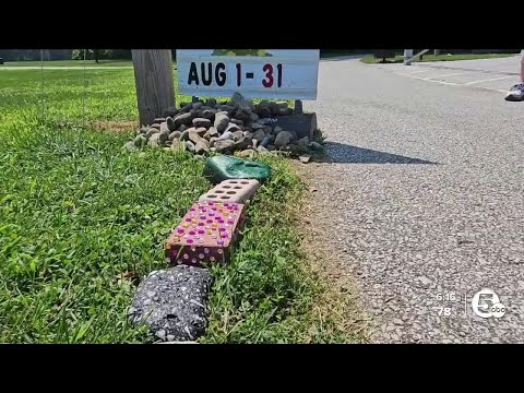 City of Willoughby on mission to grow painted rock snake 'Ozzy' at Osborne Park