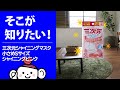 【そこが知りたい！】三次元シャイニングマスク 小さめＳサイズ シャイニングピンク