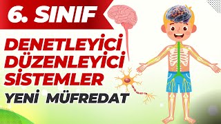 Denetleyici Ve Düzenleyici Sistemler 6. Sınıf Fen 3. Ünite
