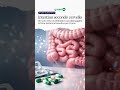 Intestino secondo cervello