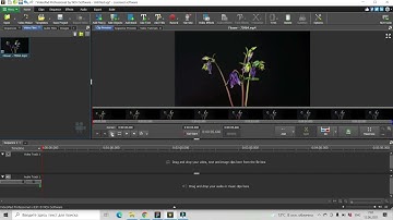 VIDEOPAD | How To Take A Snapshot Of A Video Frame In Videopad I VideoPad Tutorials