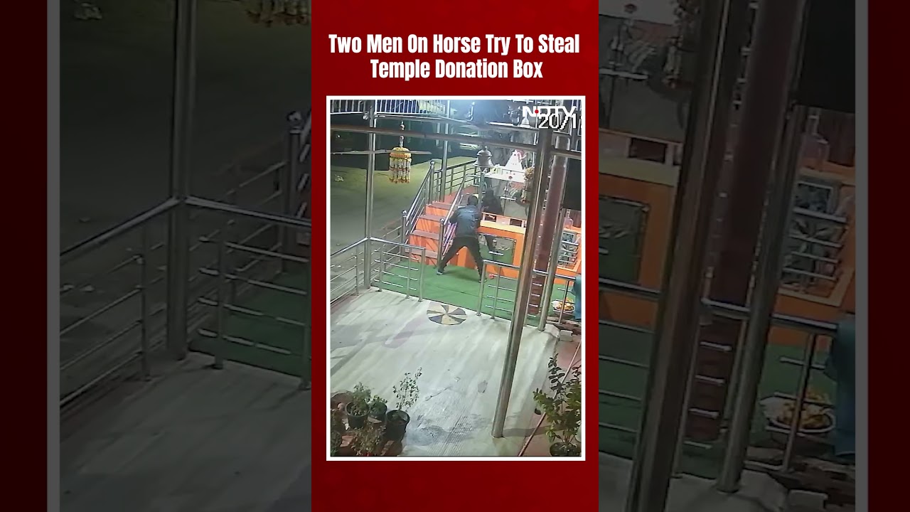 Two Men On Horse Try To Steal Temple Donation Box, This Is What Happened Next