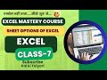 Sheet options in excel #excel #youtubeshorts