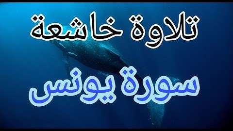 تلاوة سورة يونس كاملة للقارئ احمد الشبلي | surah Yunus
