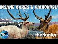Massive Albino Axis Deer! Double Diamond Pronghorn + More!! | TheHunter Call Of The Wild