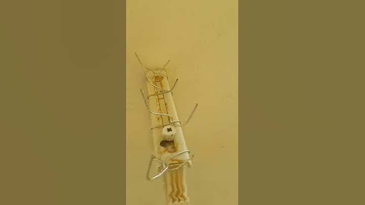 How to keep birds away of your balcony - طريقة ابعاد الطيور من البلكونة