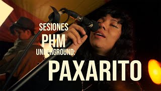 [PAXARITO 2.º aniversario ] en sesiones PHM underground Folklore Electrónico