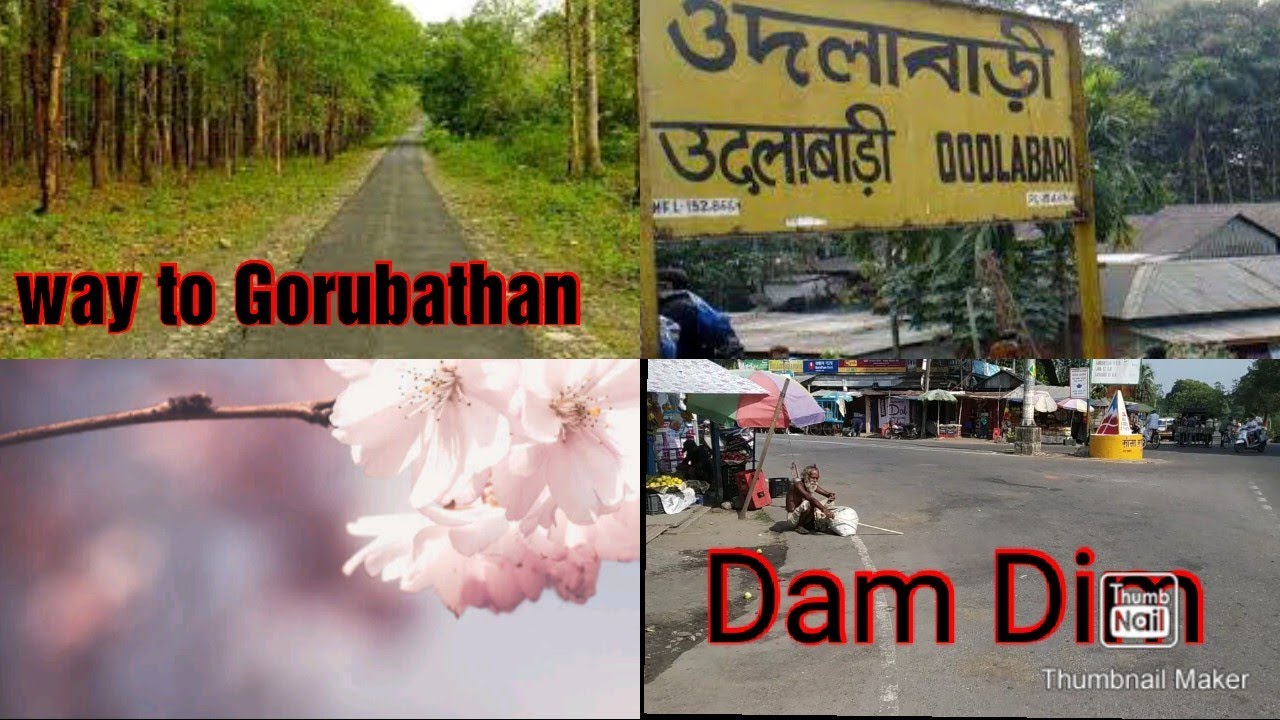 Oodlabari, Dam Dim, Gorubathan