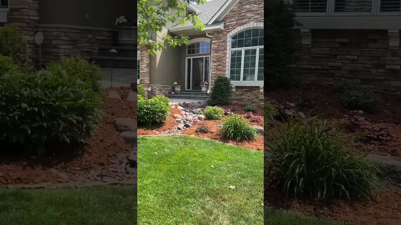 🔝 Western Red Cedar 🔝