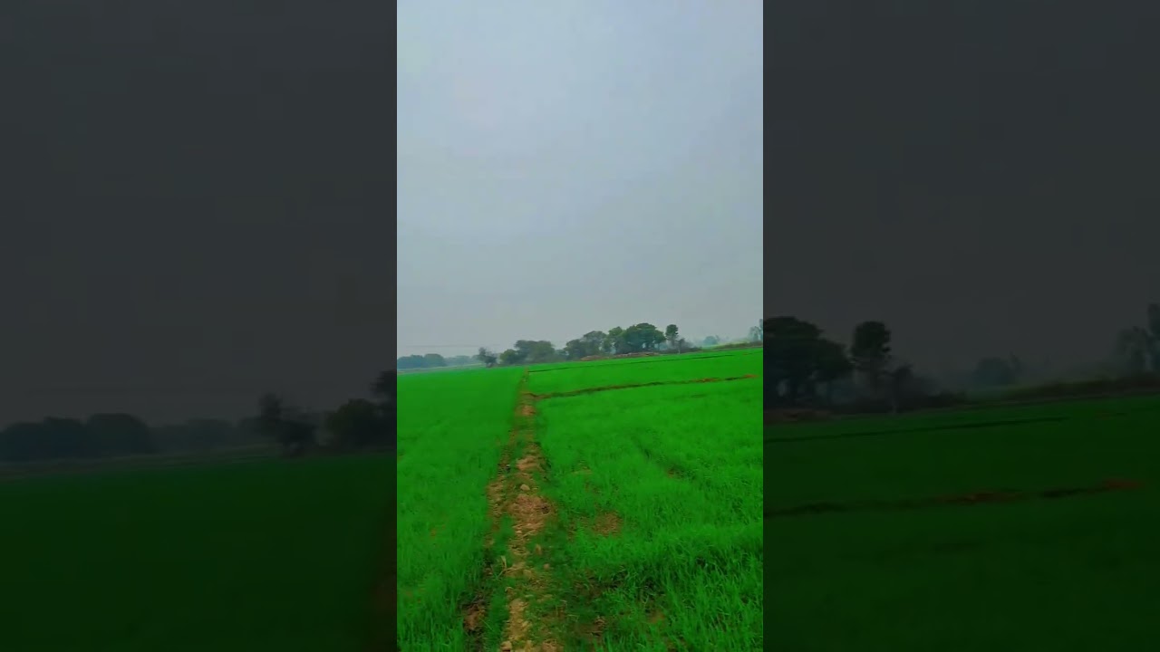 farmerlife this  😉 