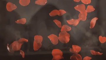 Horizon - Paper Accolades [Official Video]
