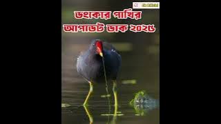 ডুংকোর পাখির আপডেট ডাক ২০২৫/ ডুংখোর পাখির স্পেশাল ডাক / Dumkor pakir duk / Common Morhen Bird call
