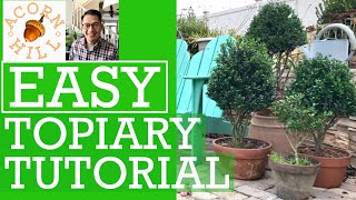 THE EASIEST TOPIARY TUTORIAL. EASY TOPIARY D. I. Y.  Garden Buhay Amerika. Acorn Hill