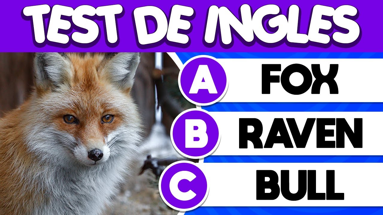 ¿Puedes PASAR este TEST? 😱| Pon a PRUEBA Tu INGLÉS ✅| Vocabulario 🦊