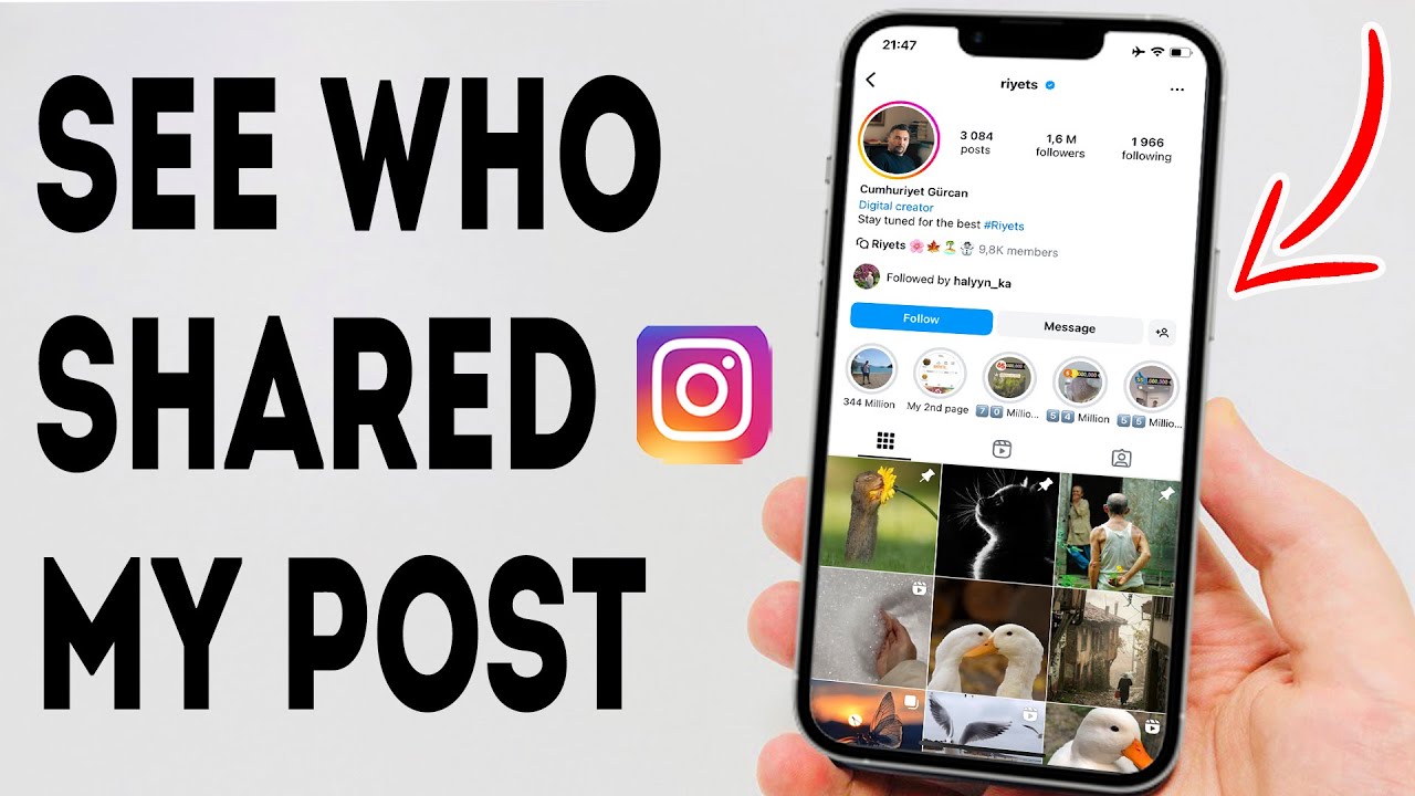 how-to-see-who-shared-my-post-on-instagram-full-guide-youtube
