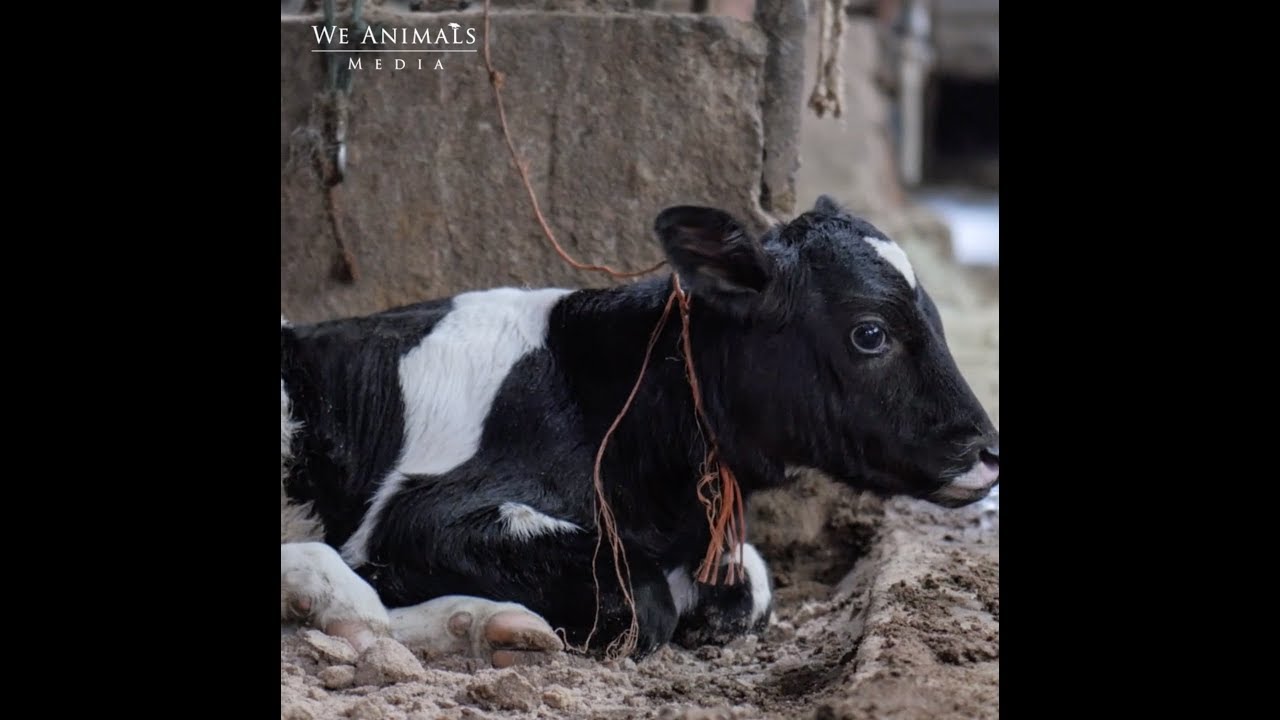 Wifi Tethering Meaning In Tagalog Wifi Tethering Meaning In Tagalog