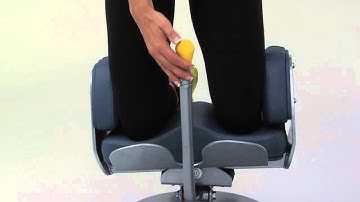 Hoist Fitness ROC-IT RS-1602 Obliques / Rotary Torso