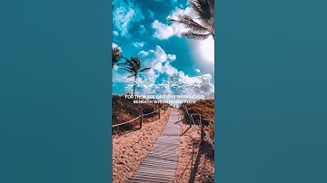 لَهُمْ جَنَّاتٌ تَجْرِي مِن تَحْتِهَا الْأَنْهَارُ | ياسر الدوسري|سورة المائدة|حالات واتس قرآن كريم