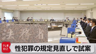 性犯罪要件見直し試案 暴行やアルコールで「拒絶困難」にした場合（2022年10月24日）