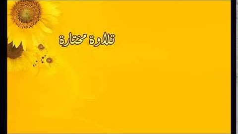 تلاوة مختارة ( من سورة الأحزاب ) القارئ / عبد الله المطرود