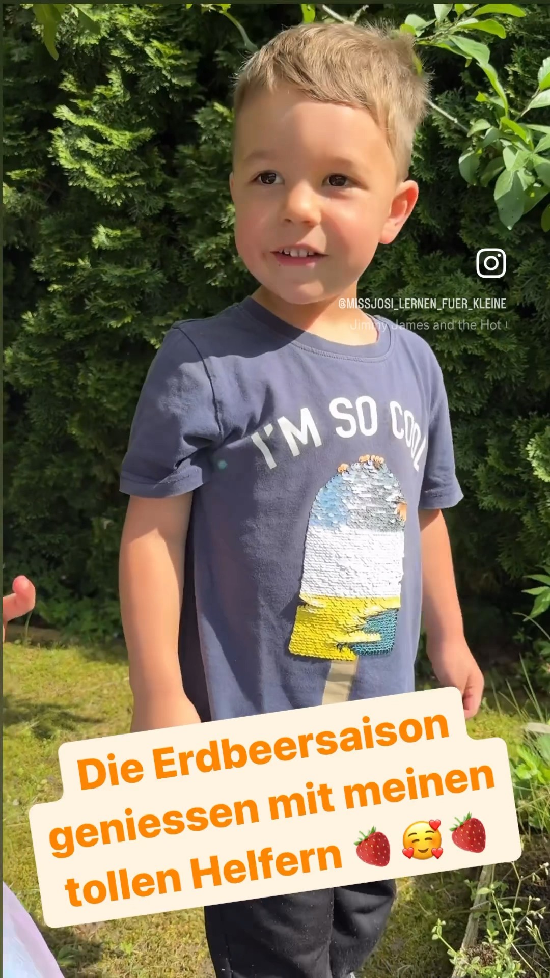 Wir lieben die Erdbeersaison! Ernten und essen! Mögen eure Kleinen auch ...