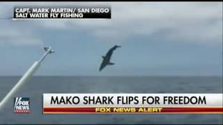 Hooked, 500 pound mako sharks flips for freedom   Fox News Video