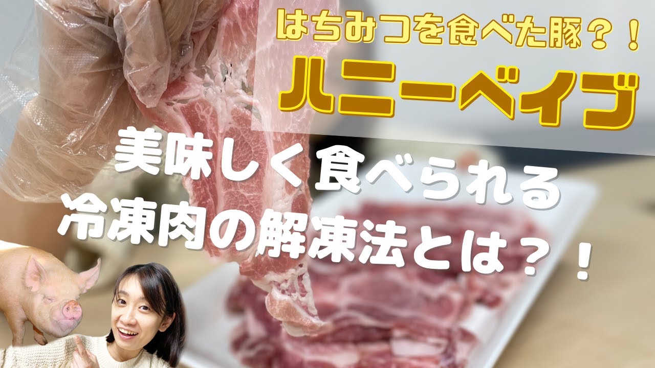 長野県 昔ながらの中ヨークシャー種系 美味しい豚肉 ハヤシファームのハニーベイブお試しセット Otama おたま おいしい が見つかる食材通販 サイト