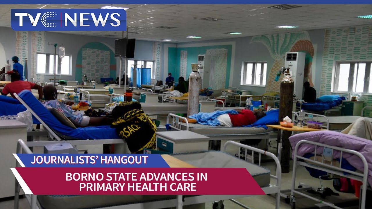 Borno State Gains Reputation as Best in Primary Health Care