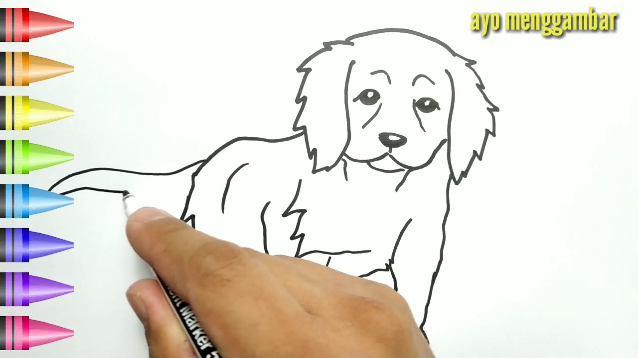 MUDAHNYA ayo belajar cara menggambar Anjing  Piaran lucu 