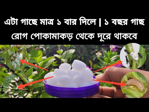 ভিডিও: সুপার স্ম্যাশ ব্রোসে কীভাবে সমস্ত চরিত্রগুলি আনলক করবেন। ঝগড়া: 14 ধাপ