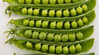 Peas | Wikipedia audio article