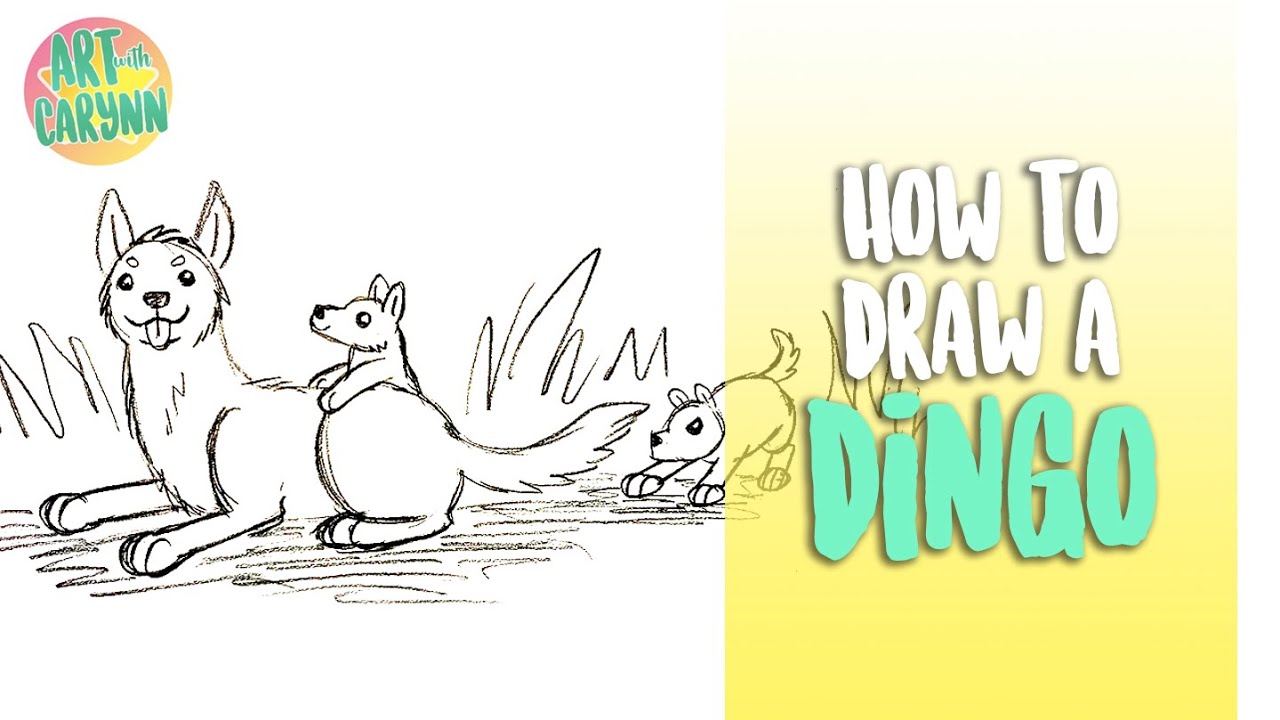 How to Draw a Dingo - YouTube