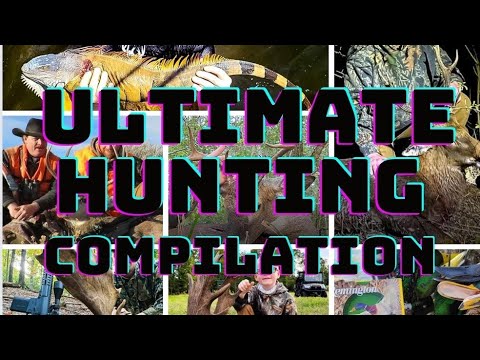Download 20 Shots in 20 Minutes! (ULTIMATE Hunting Compilation)