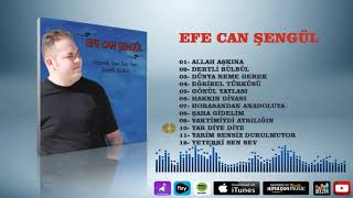 Efe Can Şengül  -  Yar Diye Diye Resimi