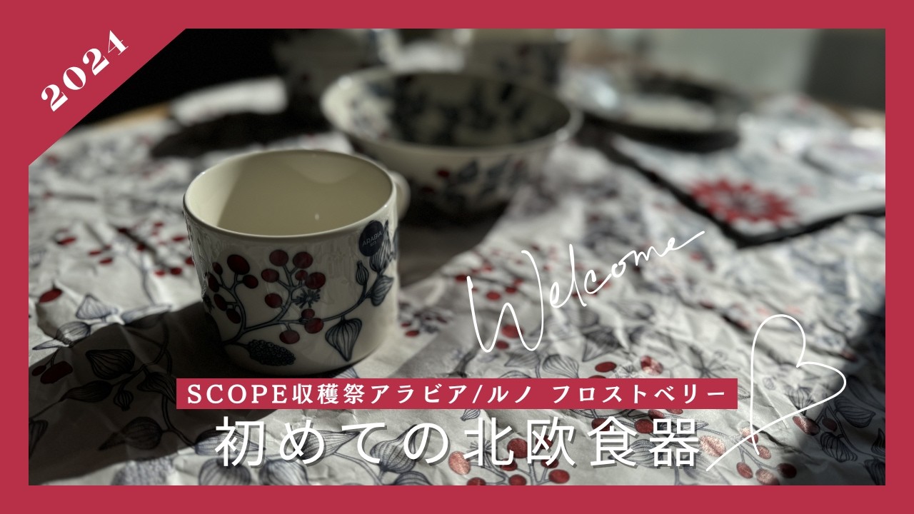 北欧食器ルノフロストベリー開封動画】アラビアルノフロストベリー初