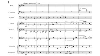 [Full Score] Franz Strauss - Horn Concerto in C minor, Op. 8