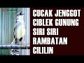 MASTERAN CUCAK JENGGOT - CIBLEK GUNUNG - SIRI SIRI - RAMBATAN - CILILIN