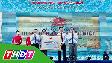 Văn hóa Sa Huỳnh được xếp hạng di tích quốc gia đặc biệt | THDT
