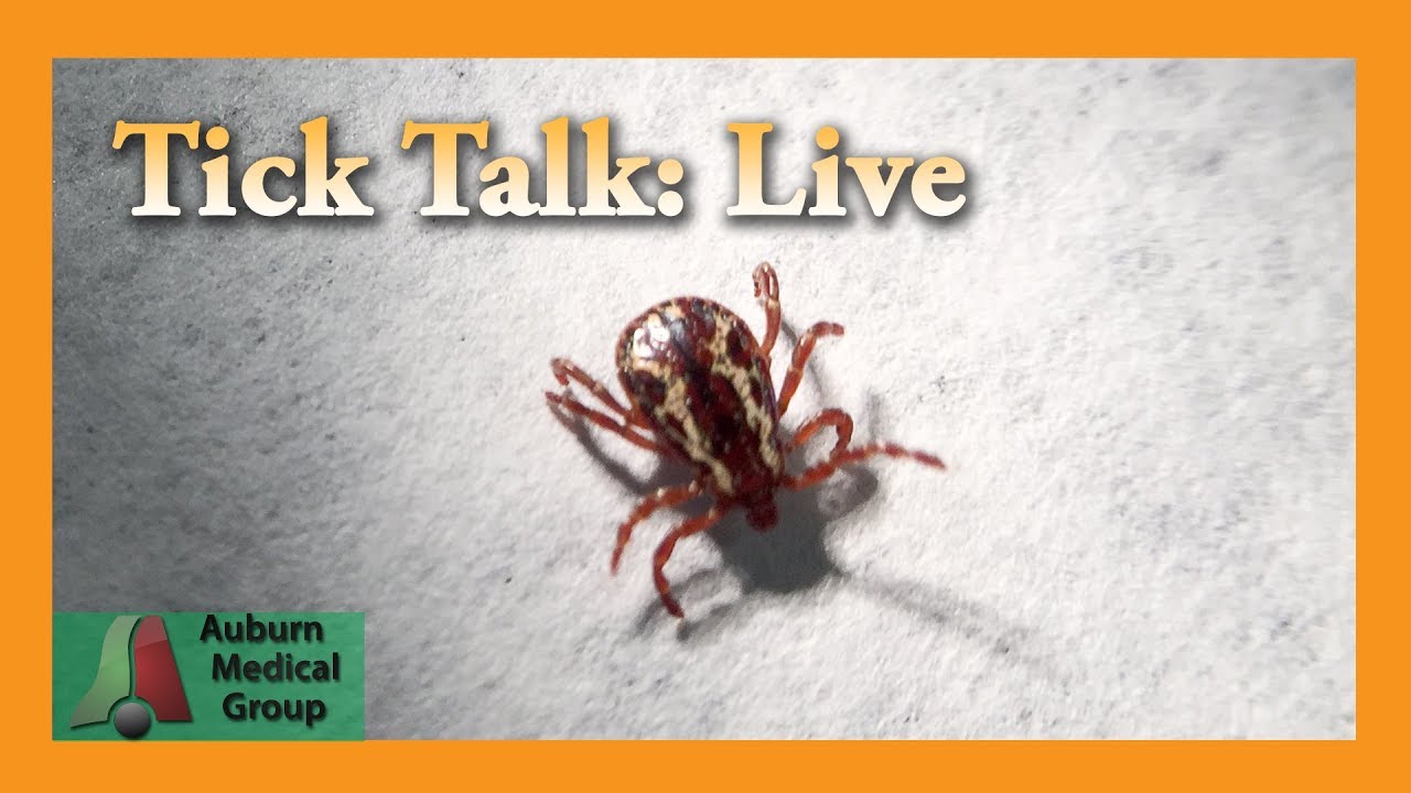 Tick Talk | Auburn Medical Group - YouTube
