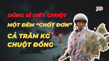 Dũng Sĩ Diệt Chuột Quảng Nam: Một Đêm “Chốt Đơn” Cả Trăm Kg Chuột Đồng | Hóng Chuyện Đó Đây