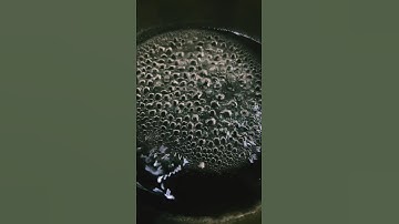 Boiling point #water #boiling #videography #shortvideo #shorts #video