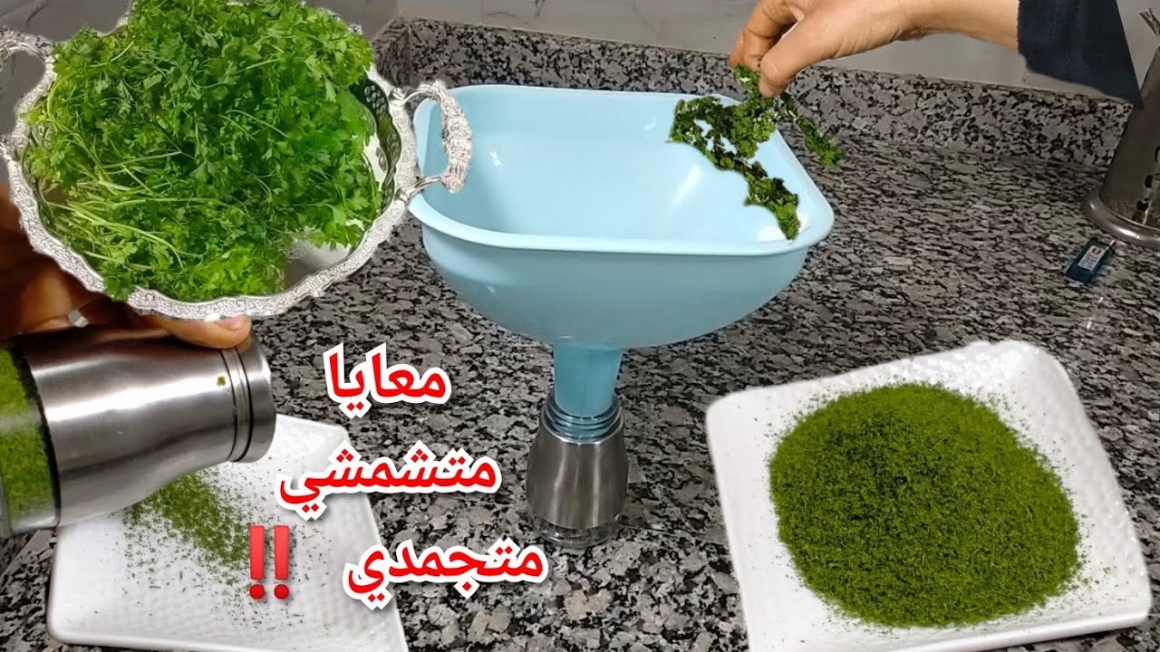 يبقى عندك طول العام بلا شمس ☀️ بلا مجمد🌨️ طريقة تجفيف القزبر والمعدنوس  بريحتو ولونو جربيه وردي عليا