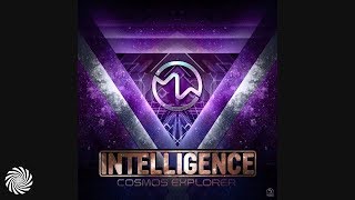 Intelligence - The Other Dimension