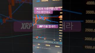 XRP 리플 차트 참고하세요 귀추가 주목 됩니다🔥#xrp #리플 #비트코인 #trading