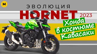 Ещё два новых Хорнета 2023 | История Honda Hornet